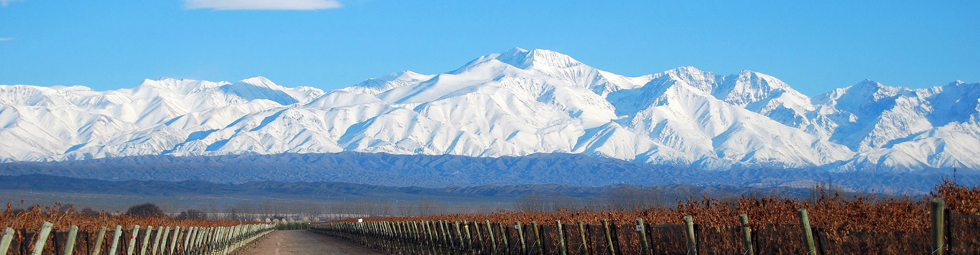 The snowcapped Andes Mountain Range as seen from a vineyard in Argentina.