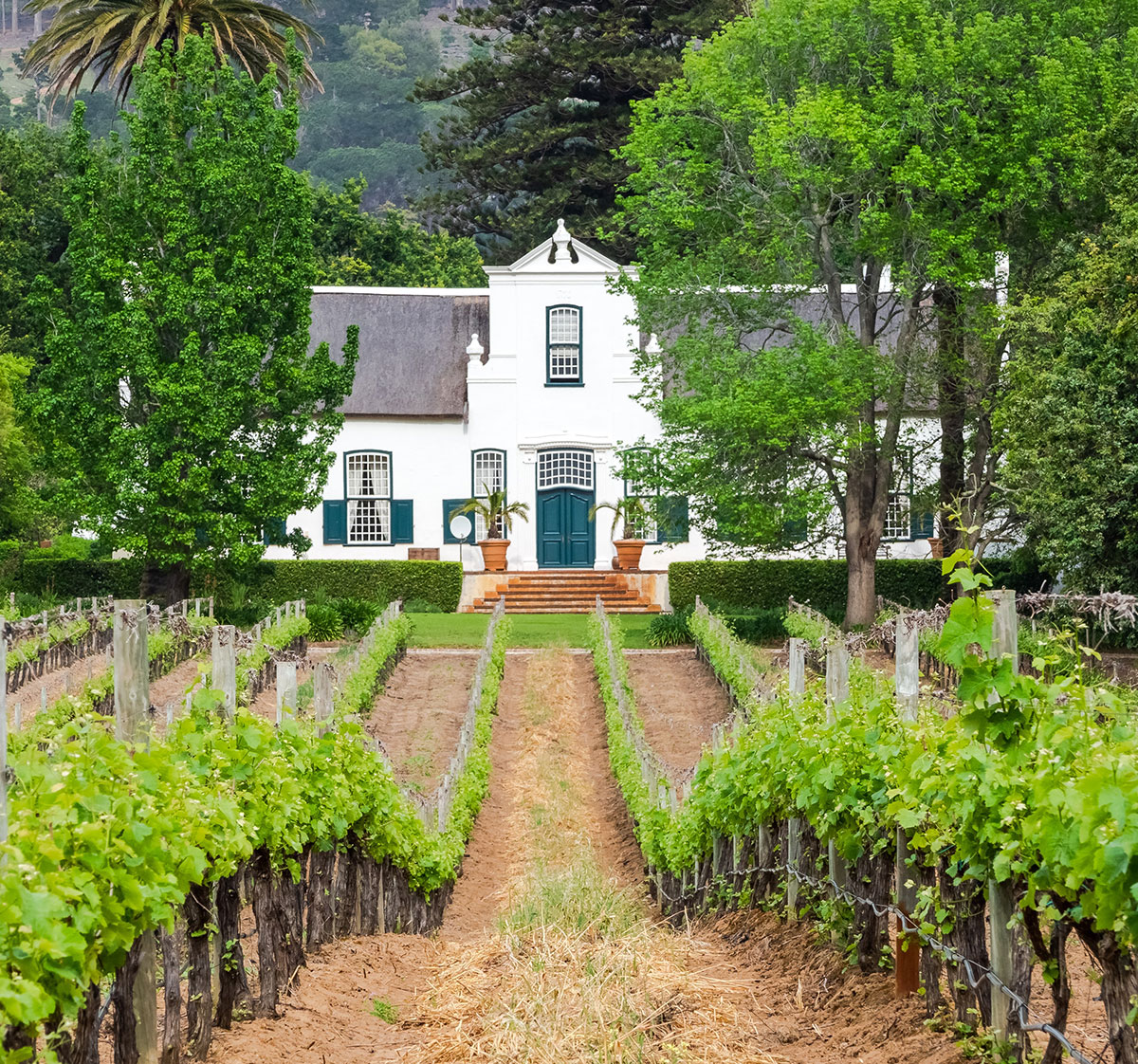 An old Cape Dutch manor house on a wine farm property in South Africa.