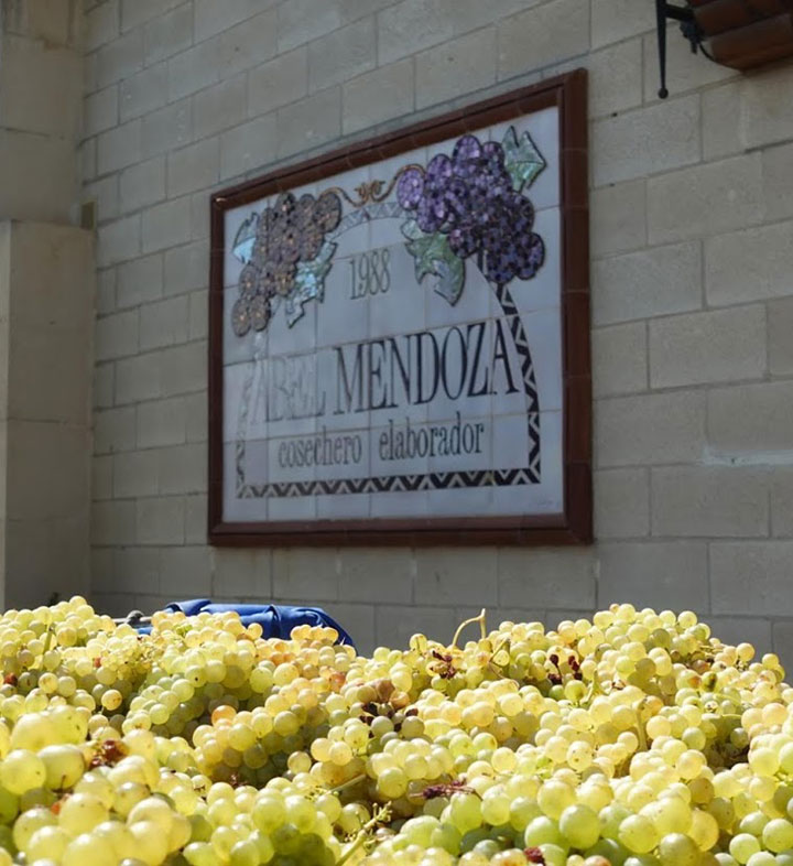 Freshly picked white grapes await sorting and destemming outside the Abel Mendoza winery in Rioja, Spain.