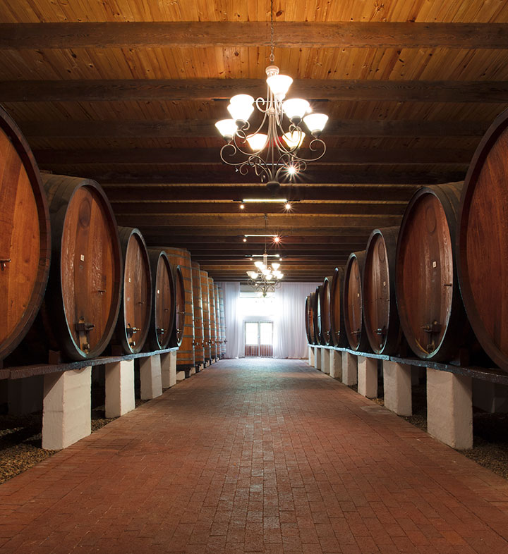 The historic vat cellar at Backsberg Wine Estate in South Africa.