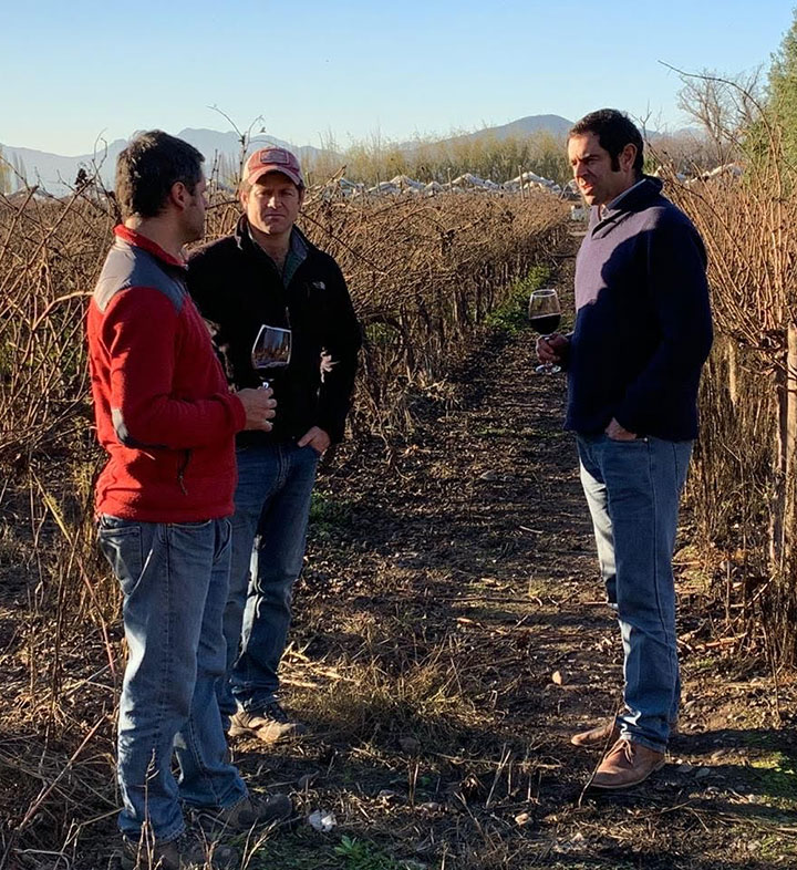 The three Correa brothers, owners of Bodegas Tagua Tagua winery in the Rapel Valley, Chile, drinking wine in the vineyard.
