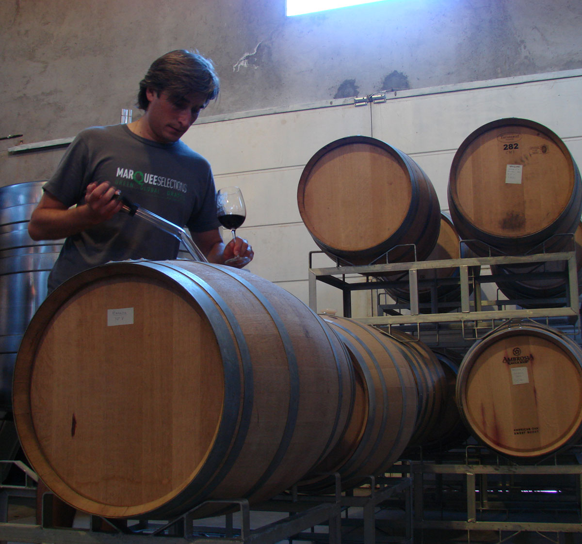 Caligiore owner and winemaker, Gustavo Caligiore, pulling a sample of organic wine from a barrel.