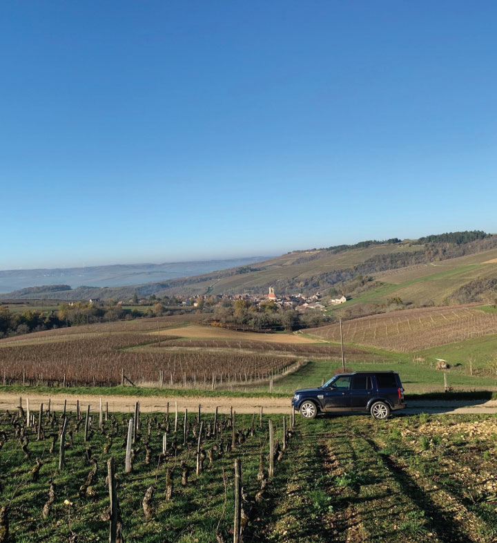 Domaine Watson's Chablis vineyard in Vaudecorce overlooking the town of Chablis.